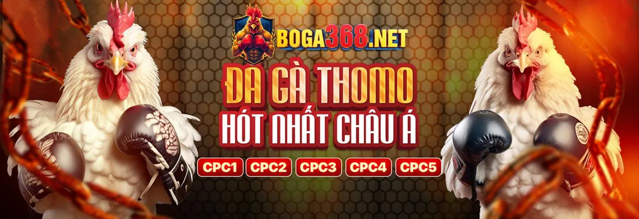 Hình ảnh chính hướng dẫn chơi game Happy8